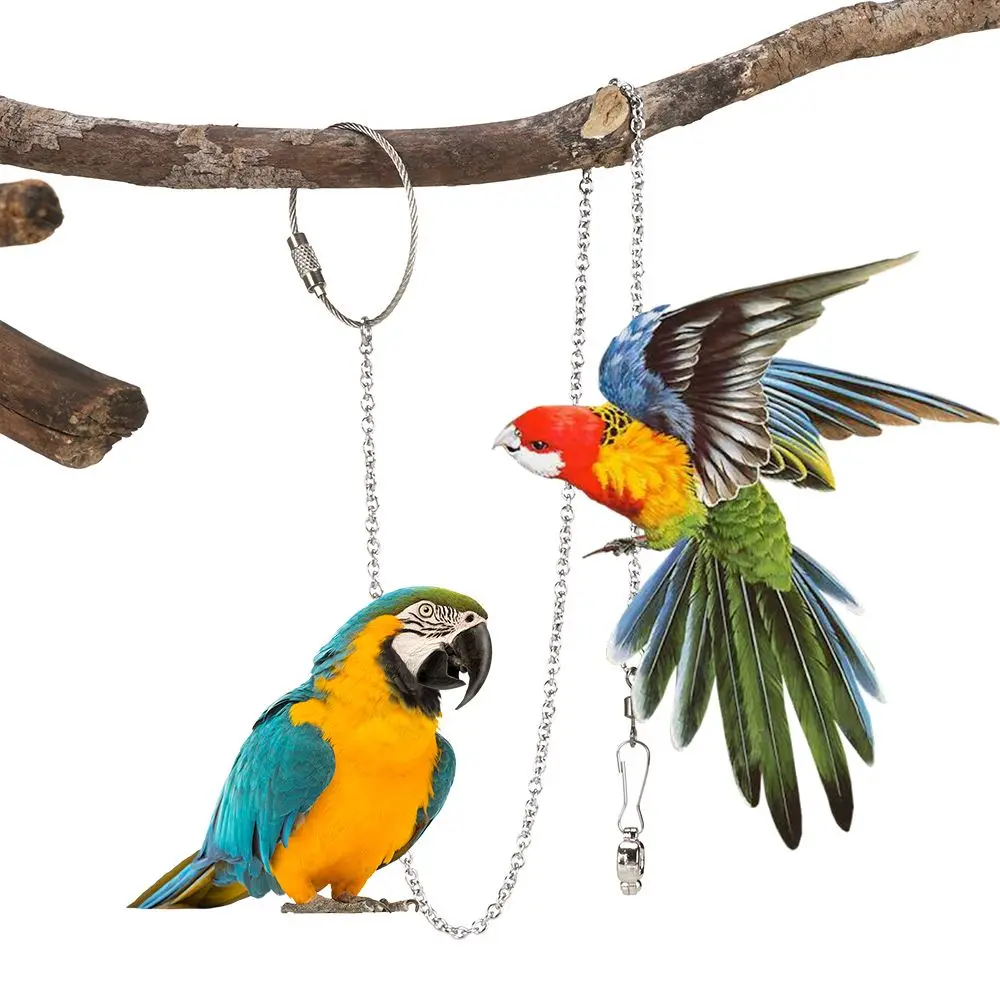 Parrot Foot Chain Ankle Rings For Flying Training Stainless Steel 4 Sizes bird foot rings bird leg rings bird rings