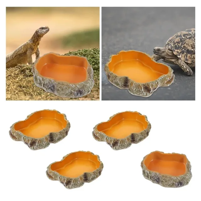 Reptile pet food basin drinking water basin reptile breeding box landscaping lizard gecko horned frog snake turtle food basin Reptile pet food basin drinking water basin reptile breeding box landscaping lizard gecko horned frog snake turtle food basin