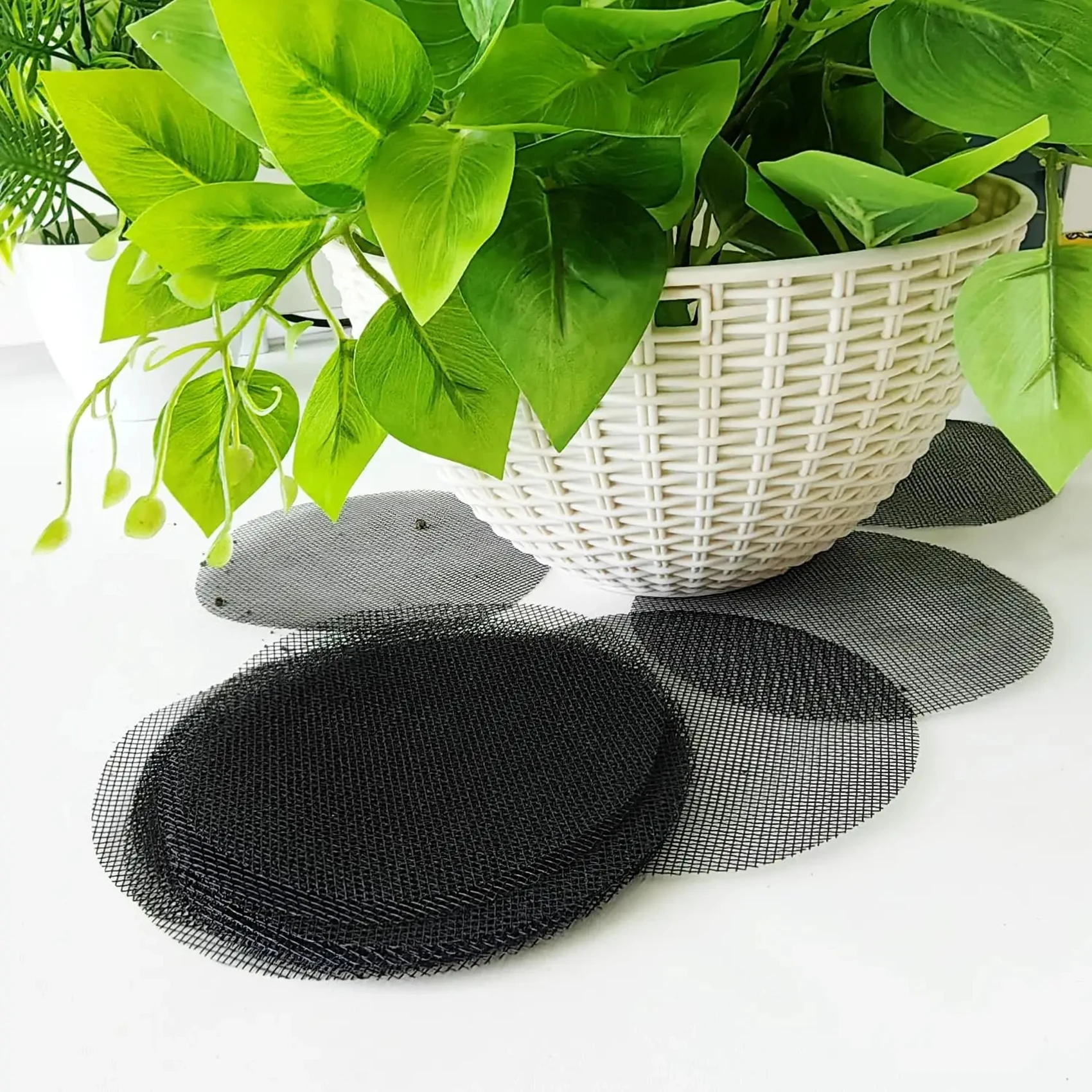 dsc-products