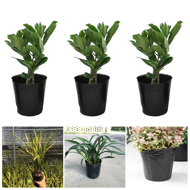 Nursery pots 50pcs Black Soft Plastic Seedling Planting Bowl Breathable Nutrition Plants Cup Flower Vegetable Garden Grow Bags