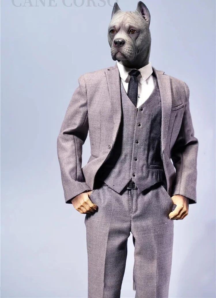 Cane Corso Compared To Human | ppgbbe.intranet.biologia.ufrj.br