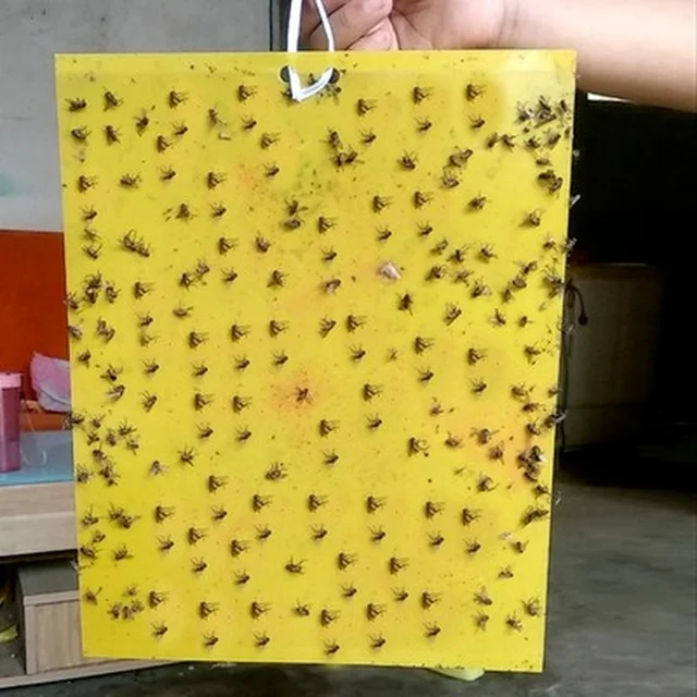 Erős Legyek Csapdák Hibák Ragadós Tábla, Amely Levéltetvek Rovarok Kártevő Gyilkos Kültéri Légycsapda Szúnyoggomba Légygyilkoshoz - Image 4