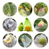 20-100PCS Vegetable Grapes Fruit Grow Bags Fruit Protection Bags Garden Anti-Bird Netting Mesh Bag Strawberry Bags Garden Tools 6
