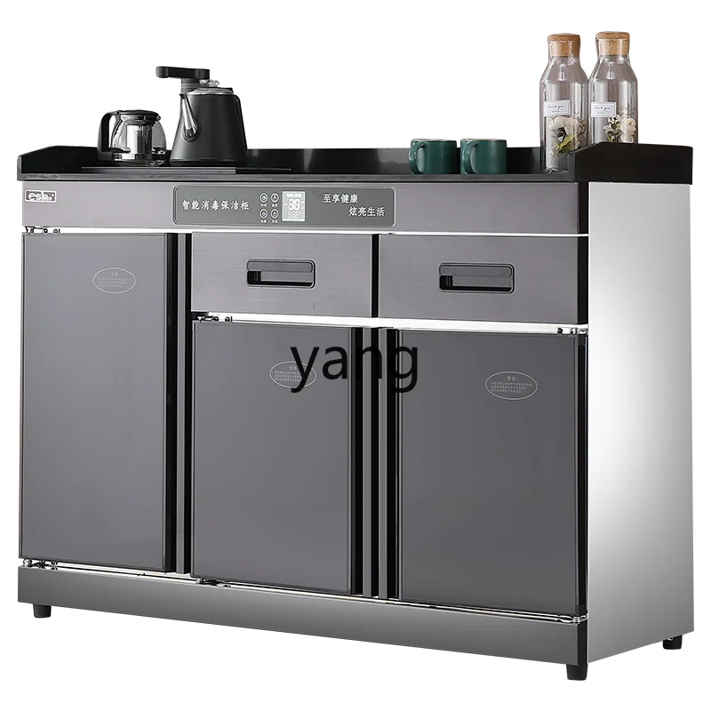L'm'm Disinfection Cabinet Commercial Dining Double Door with Drawer Restaurant Ding Room with Sideboard Cabinet