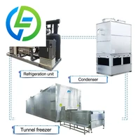 Les fabricants fournissent des congélateurs pour fruits et légumes | Équipement de congélation rapide à basse température pour raviolis et pains | Congélateur tunnel 200 kg 2