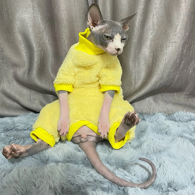 따뜻한 양모 털 없는 고양이 옷 겨울 럭셔리 스핑크스 터틀넥 스웨터 새끼 고양이용 데본 코스튬 애완동물 액세서리