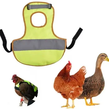 Reflective Chicken Warm Vest 1