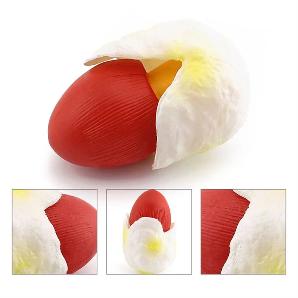 Vegetable Model Fungus Figurines Landscape Miniatures Matsutake Oyste Simulation Mushroom Artificial Plant Fungus Model