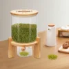 Flour and Cereal Container, 1.32gal, Rice Dispenser, Glass Food Storge Container for Kitchen Organization and Pantry Store Vial 6