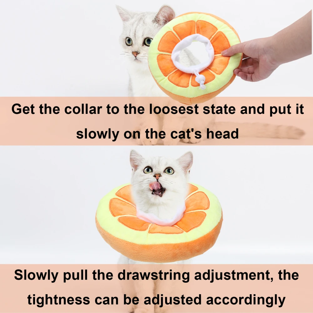 Title 5, Cat Small Dog Recovery Collar Adjustable Pet Co...