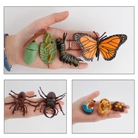 Children Simulation Biology Model Toys Animal Plant Life Growth Cycle Montessori Educational Learning Toy For Kids Teaching Aids 1