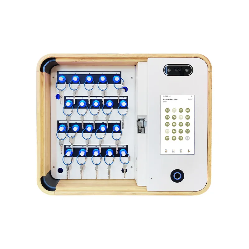 ODM/OEM 지문 및 RFID 카드 제어 전자 키 캐비닛