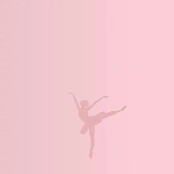 Dancing The Dream Store