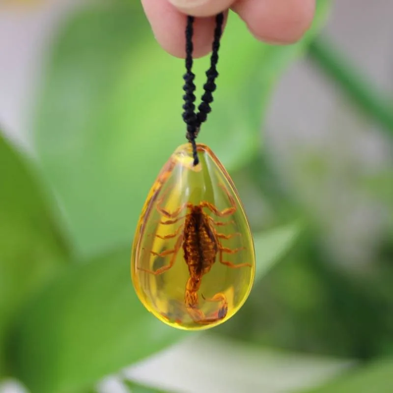 Creative Amber Scorpion Necklace Natural Insect Specimen Resin Droplet Shaped Pendant Sweater Chain Jewelry Pendant Jewelry Gift