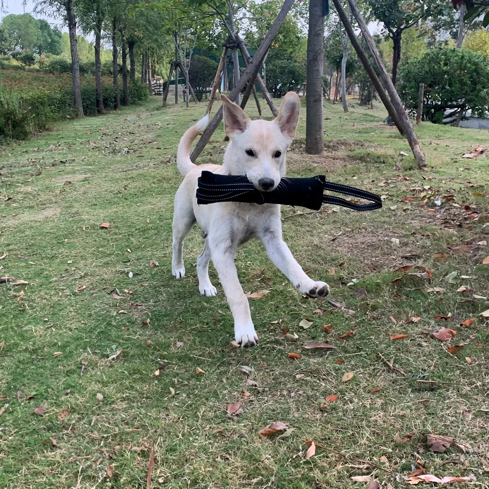 Dog Training Bite Stick Tear-Resistant - PeticaDeals