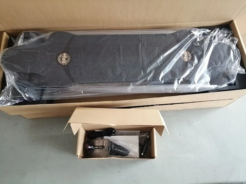 Рисунок 6 - 4-колесный Электрический скейтборд с мотором