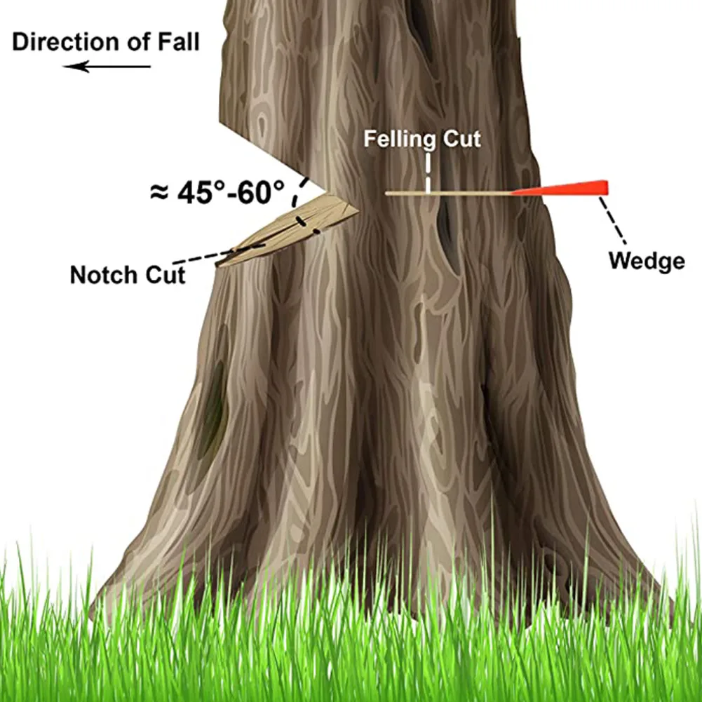 Cales d'abattage d'arbres avec pointes pour une coupe sûre des