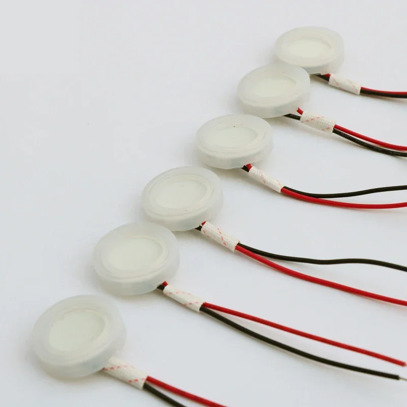 Cikonielf Disque En Céramique De Brumisateur à Ultrasons Mist Maker