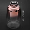 Hot Sale Glass Vase Nordic Electroplated Gold Vase Glass Flower Vases for Home Decor Dried Flower Bottle Bar Decoration 6