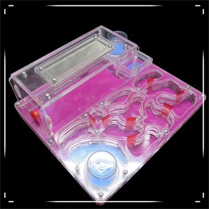 

Acrylic Flat Ant Nest Instead Of Ant Workshop Is Convenient To Observe Professional Ant Nest In A Variety Of Colors
