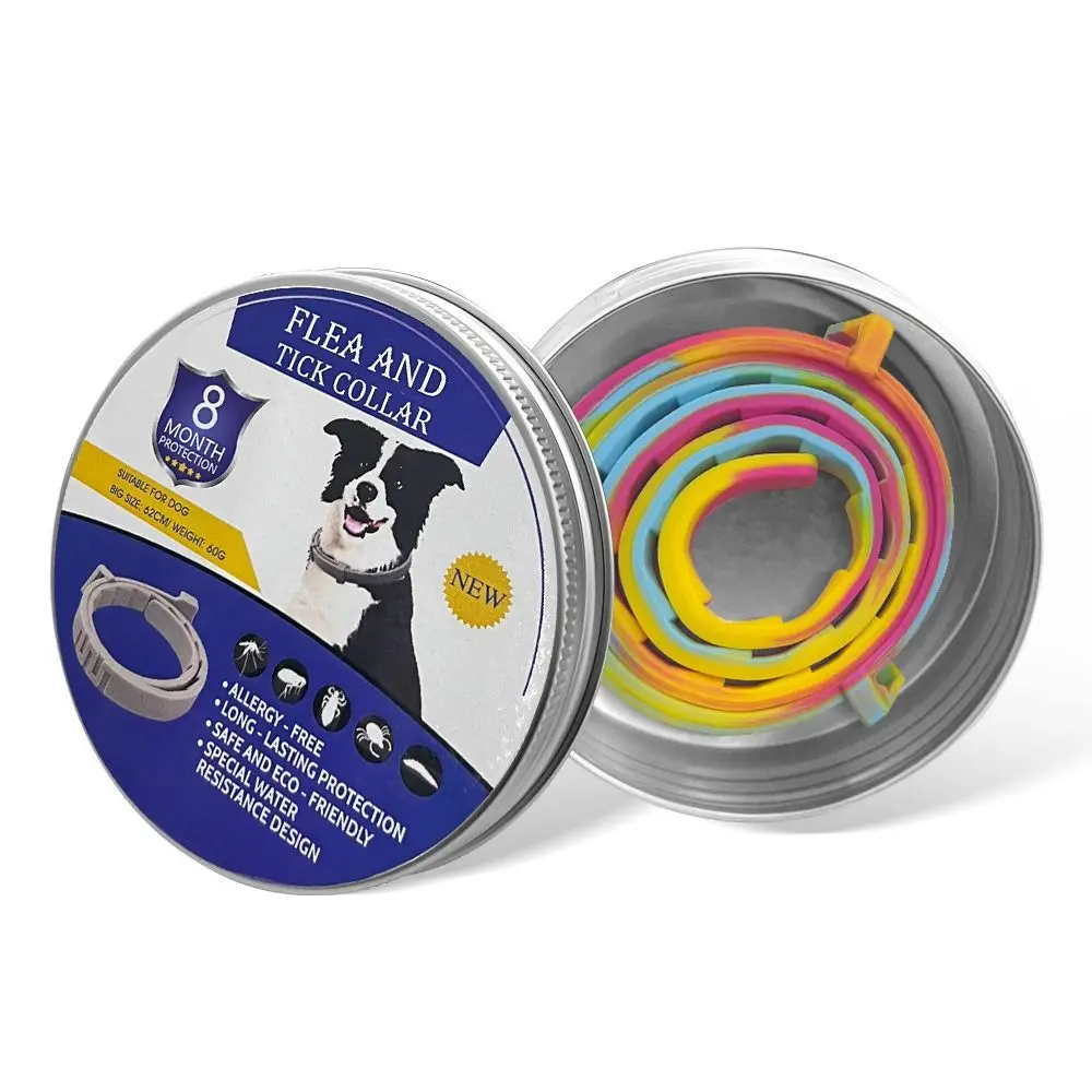 Dog Colorful