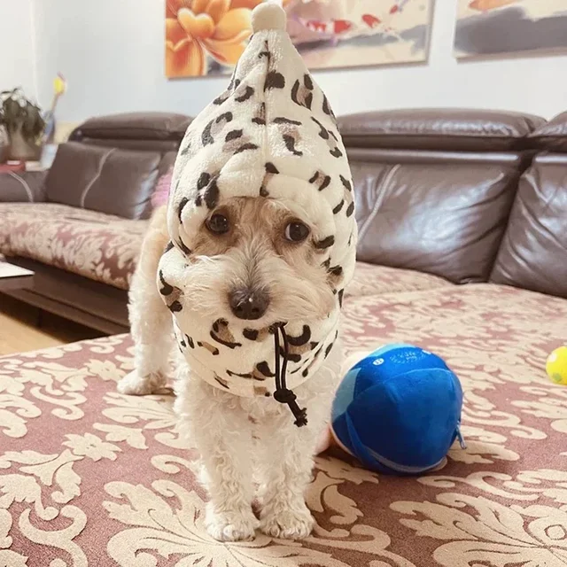 Winter Warm Pet Hat for Small Dogs Funny Puppy Cat Dog Costume Chihuahua Yorkies Cap Sombrero mascotas Accessories para cachorro 3
