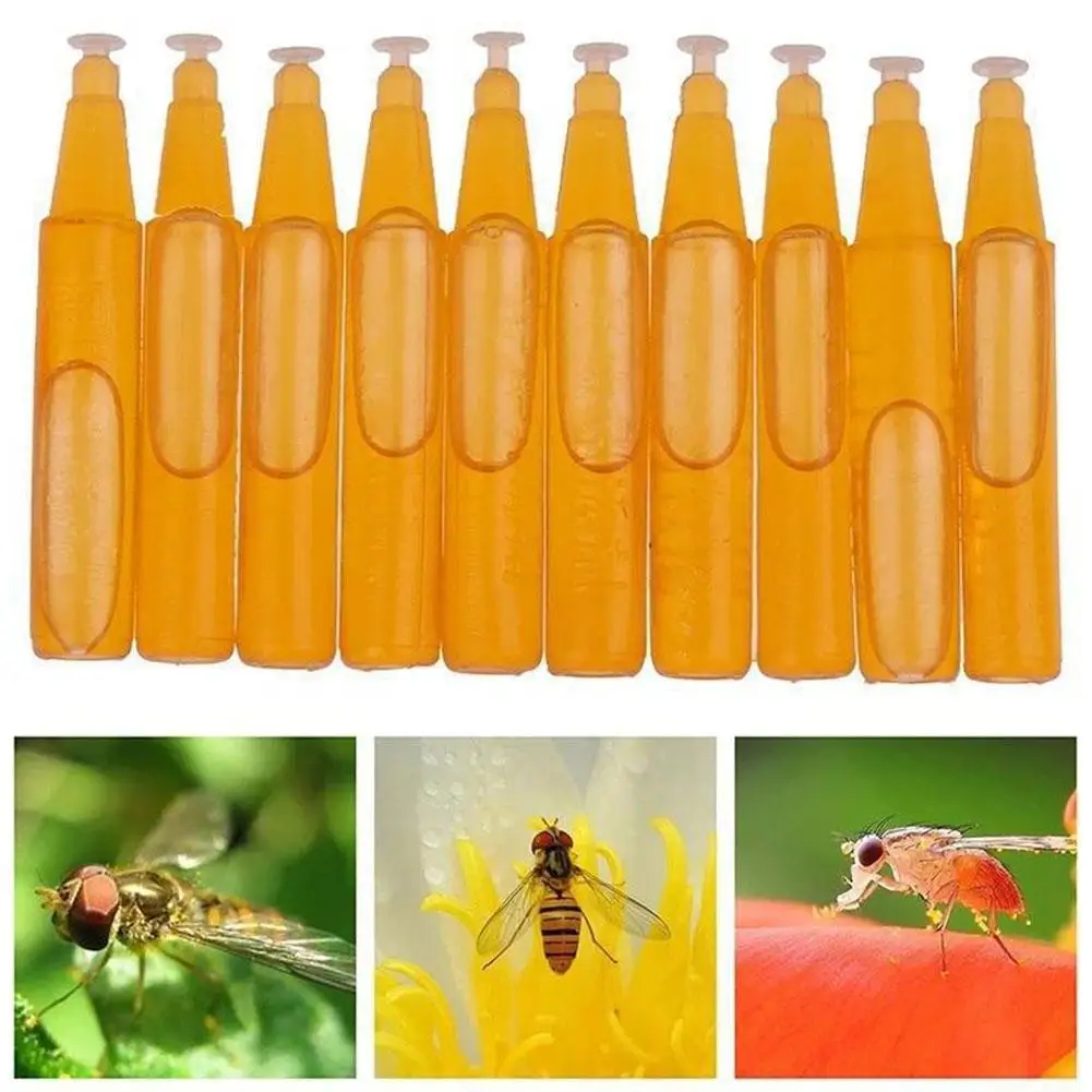 

10 Pcs Small Melon Fruit Fly Drosophila Attractant 2ml Small Fruit Fly Attractant Trap Bait Beekeeping Beehive Trapping Agent