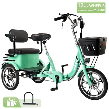 Folding Electric Tricycle 1