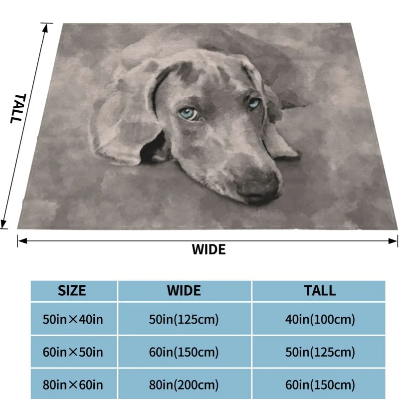 Weimaraner- ȥ ̵ , ö  , ޴ ϼ Ƽ  , ħ, Ȩ, ķ, 繫