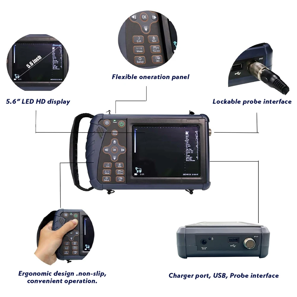 3.5/5/6.5Hz Portable Veterinary Ultrasound Scanner Vet B-Ultra Pregnancy Machine