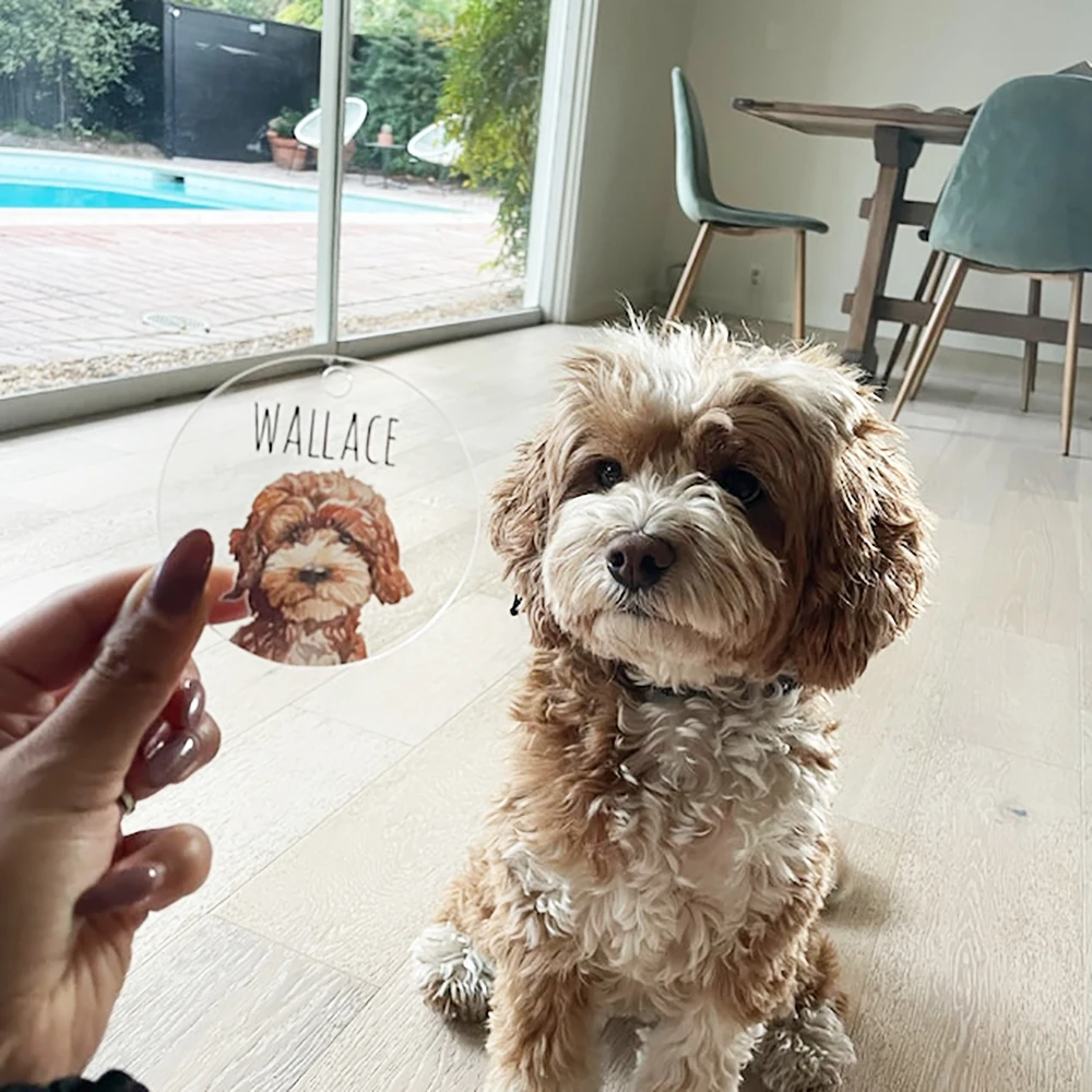 

Personalized Dog and Cat Christmas Ornament, Pet Lovers, Custom Dog Pendants for Car, Kids Gifts, Home Xmas Tree Drop Decor