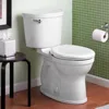 Two-Piece Toilet with Slow-Close Seat and Wax Ring, Elongated Front, Standard Height, White, squat potty 1
