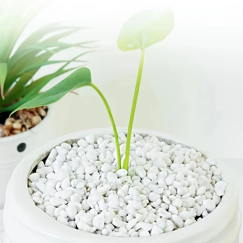 5-Liter-Beutel, 3-6 mm Körnung, Perlite für Topfpflanzen – Verhindert Wurzelfäule, perfekt für Sukkulenten, Gärten und Reptilienhabitate – Detail 12