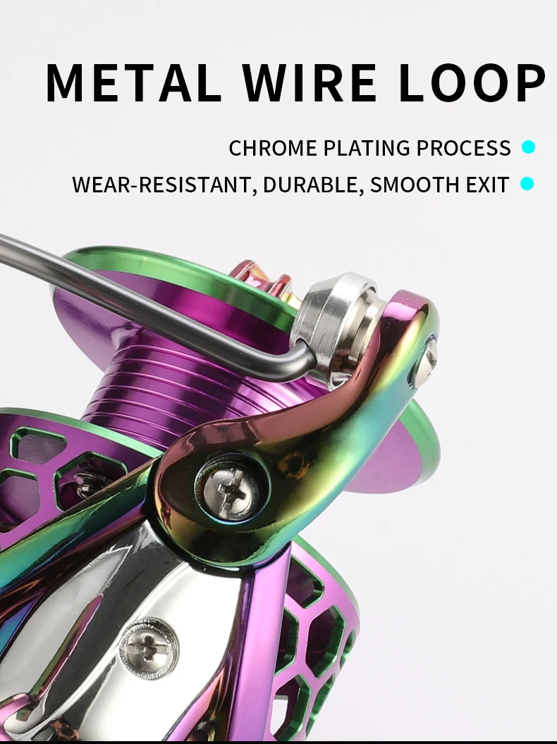 מפרט מידות רולר