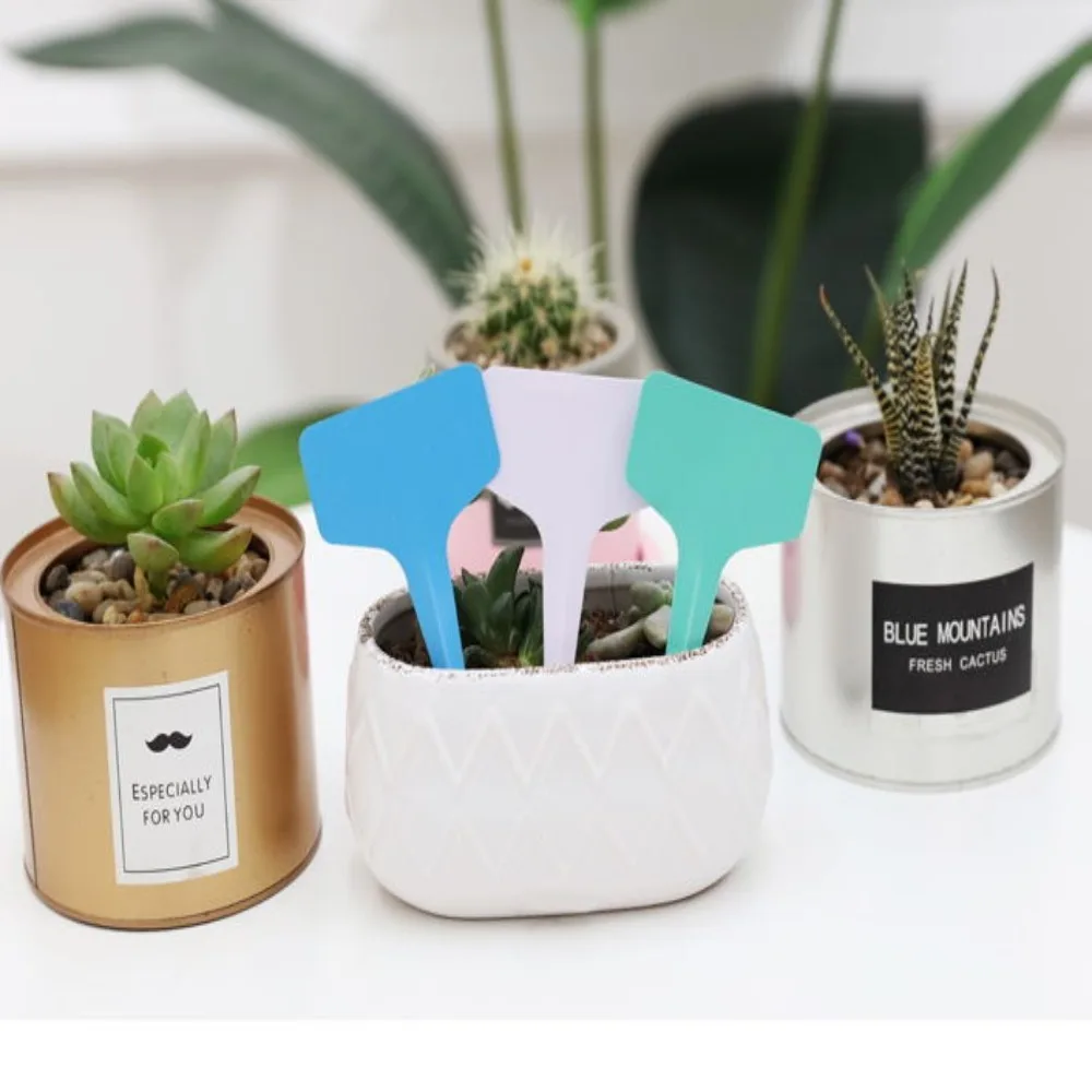 

Solid Color Writable T-type PVC Name Tag TIPTOP (6x10cm) Garden Nursery Plant Colorful Label Tag Waterproof Plastic Marker Tags