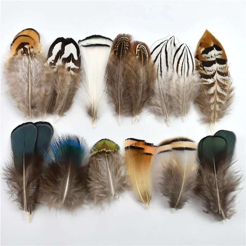 Natural Chicken Birds Duck Peacock Pheasant Feather Small Eagle Guinea Fowl Feathers craft feathers natural feathers ostrich feathers pheasant feathers mixed color feathers peacock feather decoration artificial feather decorations For Craft Handicraft Accessories Decoration