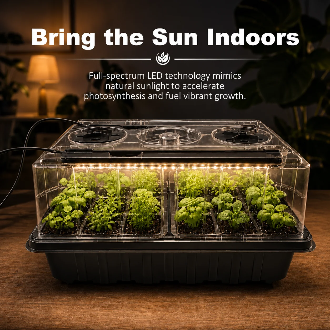 Premium Seed Starter Kit with Adjustable Ventilation & USB Controller, Indoor Tray for Optimal Germination and Growth