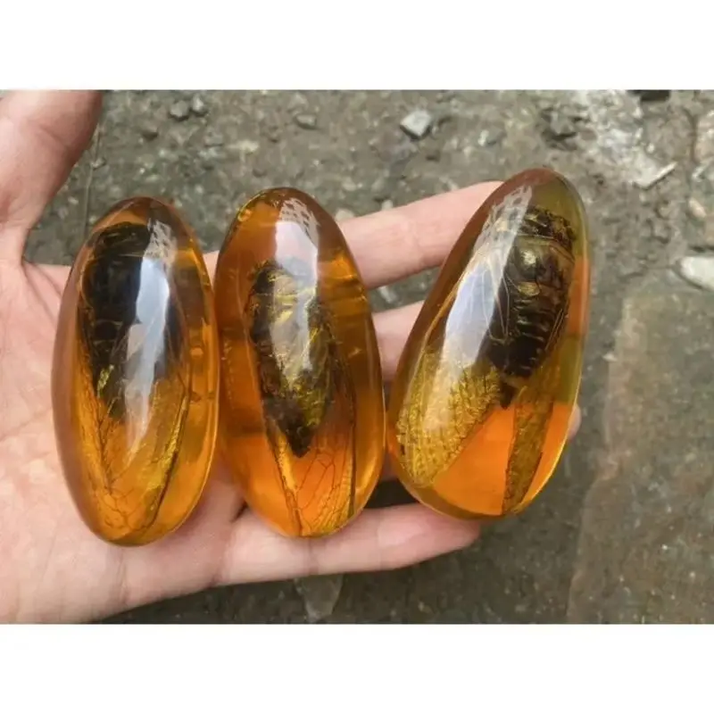1Pcs Natural Artificial Amber Real Knowledge Of The Specimen Pendant Writing Hand Piece Insect Amber Wax Bumblebee Pendant
