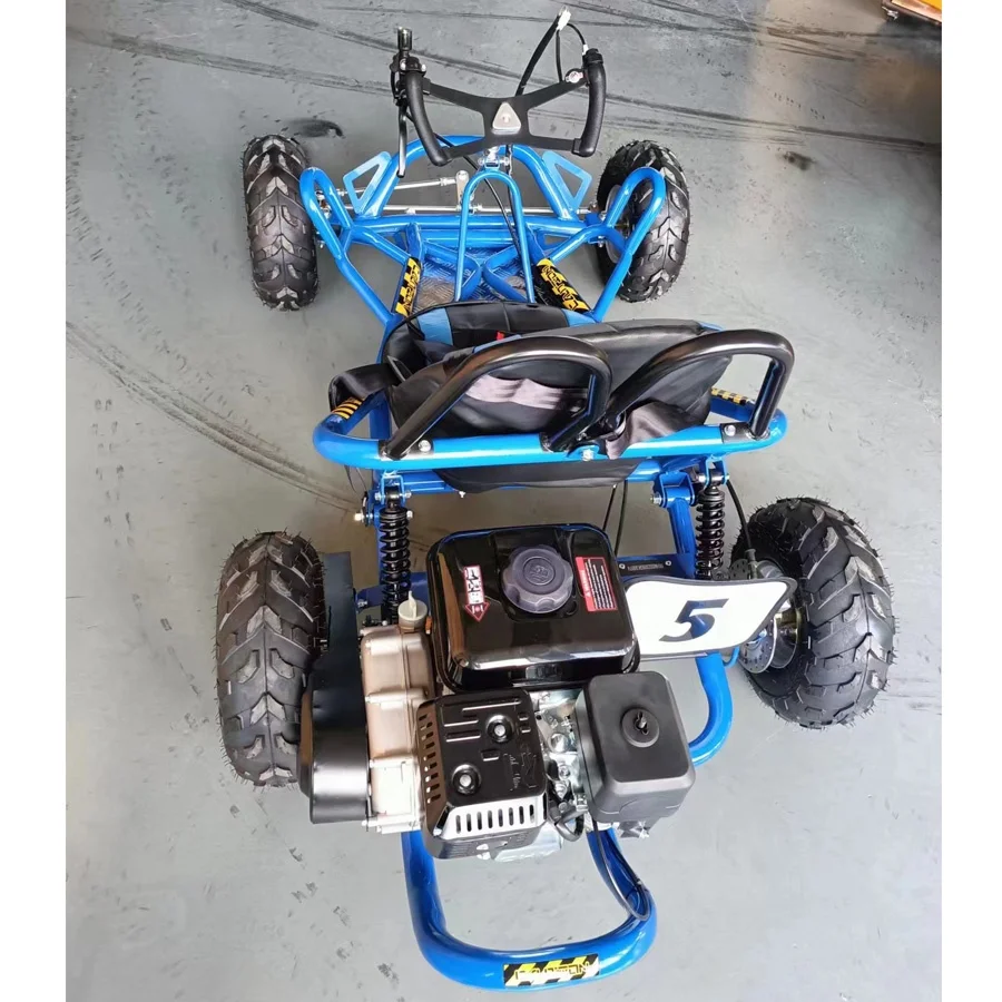 Favorable Price Outdoor Karts 196cc 45km/h Youngsters Mini Drifting Grassland Karting Buggy