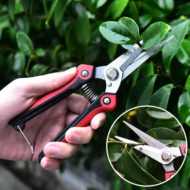 Professional Pruning Shear Branch Scissors Stainless Steel Non-Slip Handle Sharp Fruit Vegetable Pruning Scissors Garden Tools 2