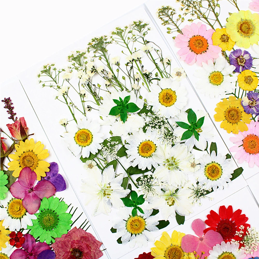 25pcs Dried Pressed Flowers For Resin Pressed Flowers Dry Le