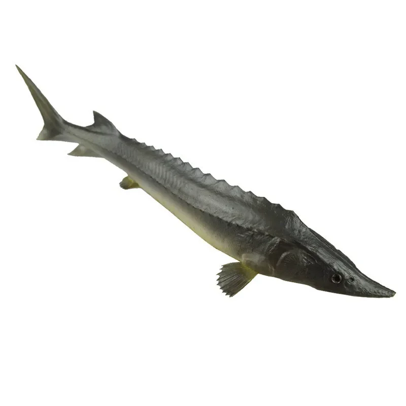 Pu Sturgeon Fish Simulation Model Home Living Room Decorations