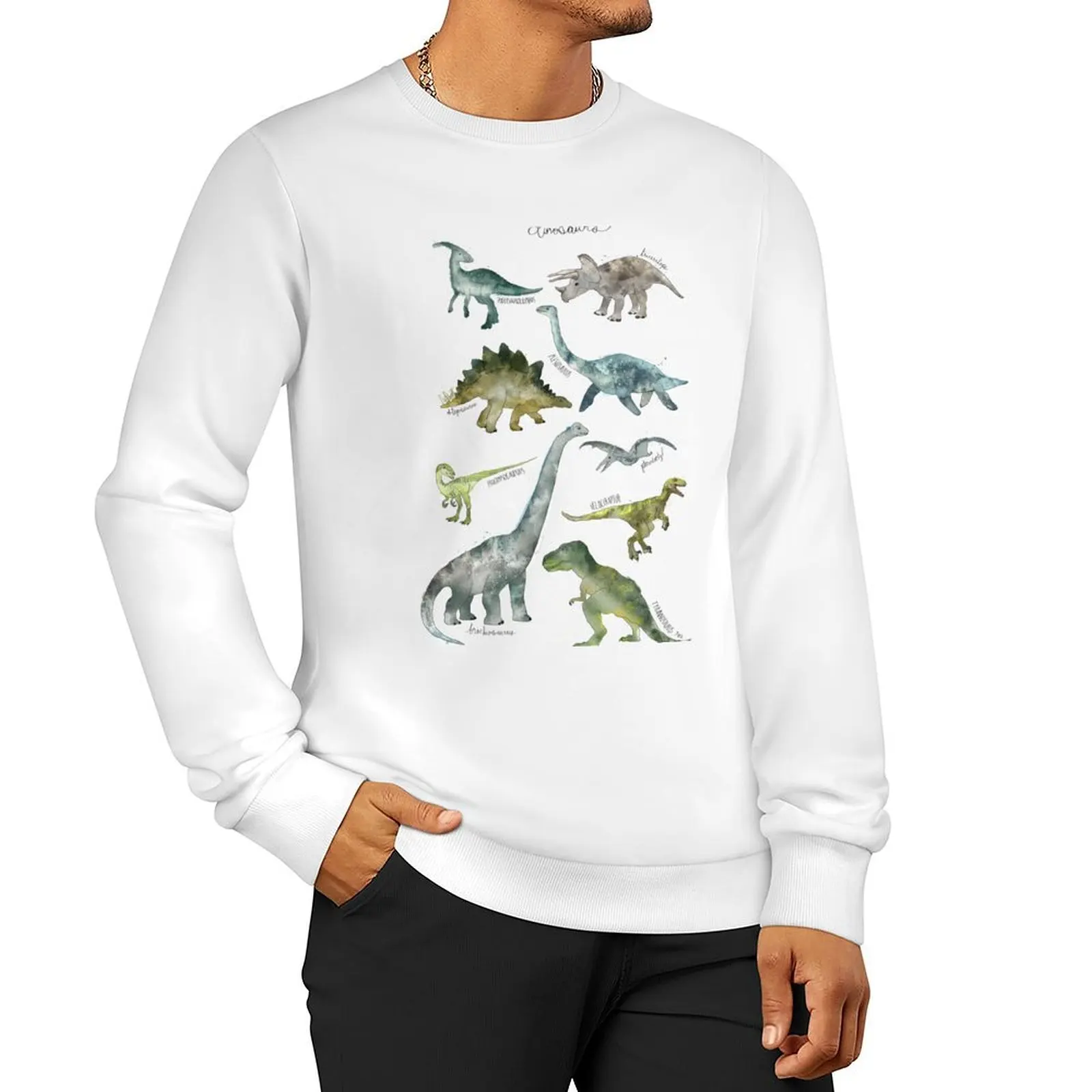 Dinasaur World Sweatshirt 1