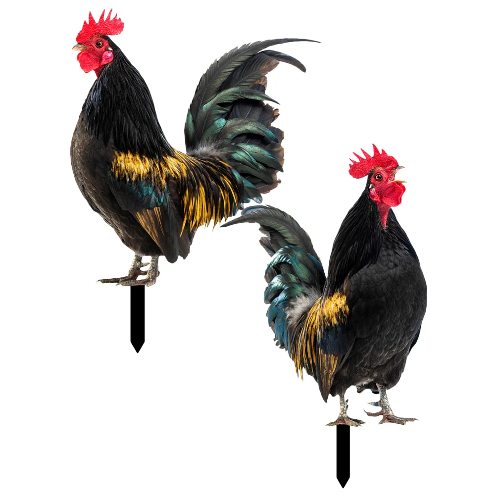 

2 Pcs Decorative Garden Inserts Outdoor Courtyard Decoration Statue Chicken Stake Sign Ornaments for Acrylic Rooster Stakes
