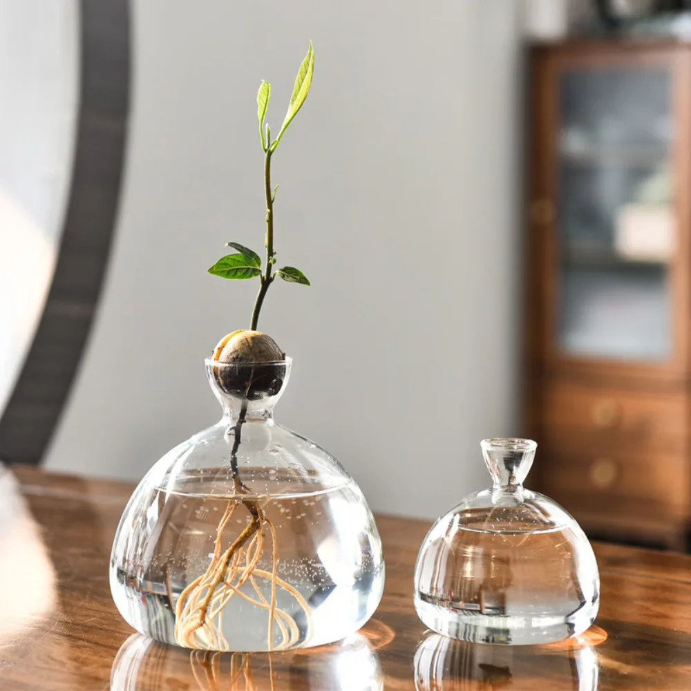 Avocado Hydroponic Vase Simple Transparent Seed Starter Vase Glass Plant Vase Aromatherapy Bottle Seed Growing Kit Gift