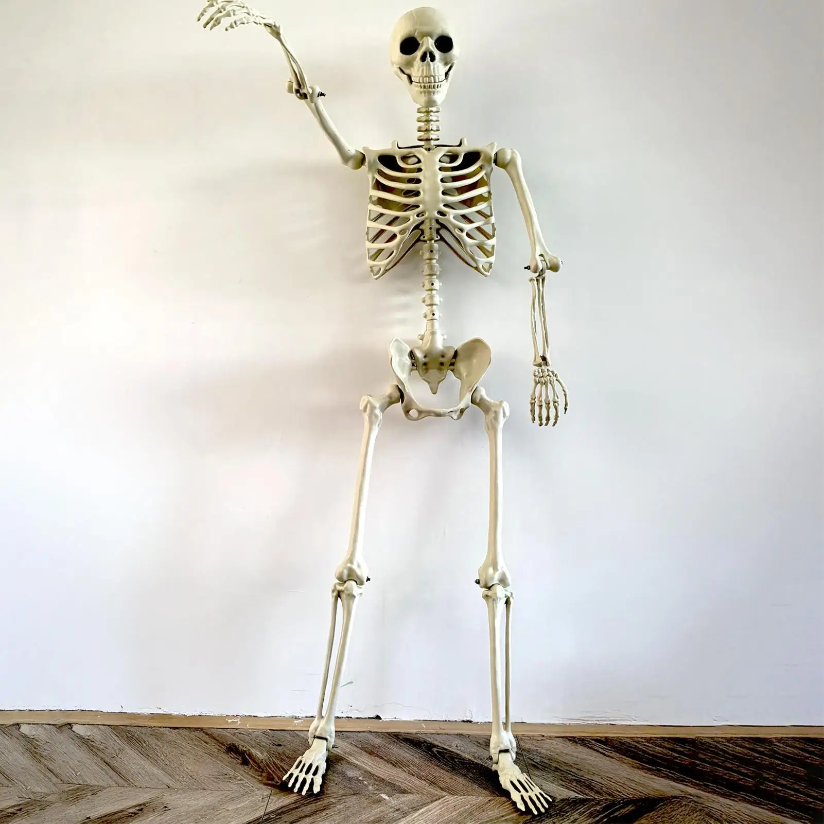 Halloween Skull Decoration Ealistic Human Skeleton Full-Body Movable Joints For Outside garden Decorative Party Supplies