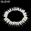 Dental Typodont Teeth Model Removable Individual Screw-in Resin Denture Practice Tooth for Nissin Dentist Teaching Accessories 5