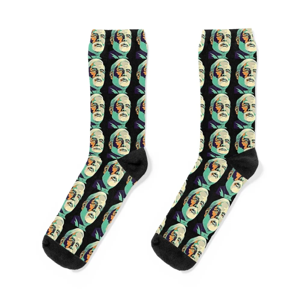 

Narendra Modi India Prime Socks sheer with print summer Boy Child Socks Women's