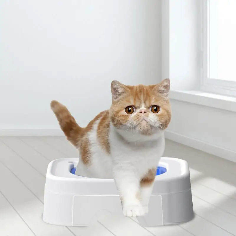 How To Teach Cat To Poop In Toilet