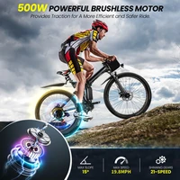 26" Folding Electric Bike for Adults, with 500W Motor,48V 20MPH Removable Battery, Up to 50Miles Range, Cruise Control 3